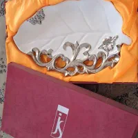 دیس پذیرایی شیک