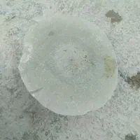 یک دانه سنگ ناشناس