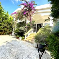 قیمت مناسبتر از فایلهای های اطراف / اقساط ۲ ساله