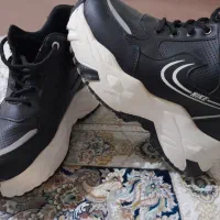 کفش نایک|کیف، کفش، کمربند|مریوان, |دیوار