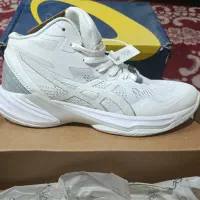 Asics volleyball skyelite ff 1|کیف، کفش، کمربند|شیراز, دارالرحمه|دیوار