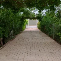 اجاره باغ برای نامزدی عقد حنابندان عروسی|خدمات پذیرایی، مراسم|دزفول, |دیوار