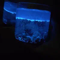 آموزش تخصصی شمع دریایی مجازی|خدمات آموزشی|اراک, |دیوار