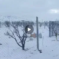 باغ در نزدیکی جلفا