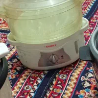 بخار پز