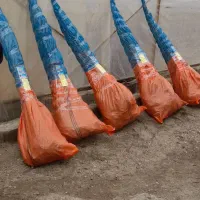 فروش انواع نهال