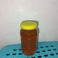 عسل گون