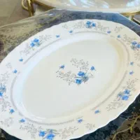 بشقاب خورشت خوری و دیس ارکوپال|ظروف سرو و پذیرایی|شاهین‌شهر, عطار|دیوار