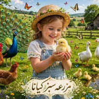 پیش فروش جوجه یک ماهه