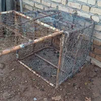 قفس ودرکوچک