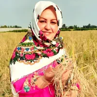 برنج درجه یک خالص و با کیفیت و عطری(کشاورزم)|خوردنی و آشامیدنی|محمودآباد, |دیوار