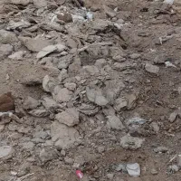 کود درجه ۱|خدمات باغبانی و درختکاری|رفسنجان, |دیوار