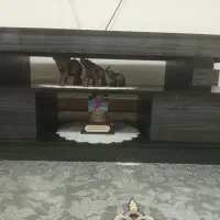 میز تلوزیون|میز تلویزیون|فردوس (خراسان), |دیوار