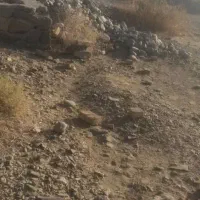 زمین فروشی|فروش زمین و ملک کلنگی|دامن, |دیوار