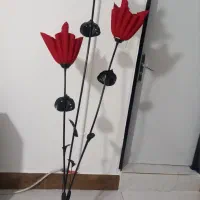 شب خواب