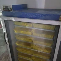 دستگاه جوجه کشی