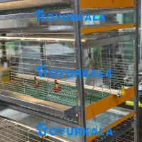 ویژه اکبرجوجه با قفس مرغ گوشتی و قفس جوجه|لوازم جانبی حیوانات|کردکوی, |دیوار