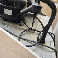 یخچال صنعتی تک درب|فروشگاه و مغازه|بندرعباس, |دیوار