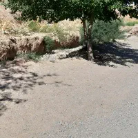مغازه-بیست-متری-حاشیه-اسفراینی