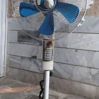 پنکه