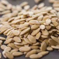 تخمه طالبی درجه یک