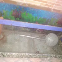 آکواریم  و مهتابی