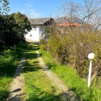 رهن و اجاره ویلای دربست جنگلی بهترین لوکیشن