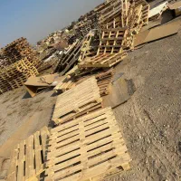 حسابدار و کارگر باسواد انبار پالت چوبی