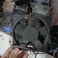 فن برای جوجه کشی وغیره...|پنکه و تصفیهکنندهٔ هوا|تالش, هشتپر|دیوار