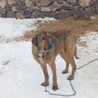 پژدر برا شما عزیزان