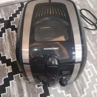 سرخ کن گاسونیک