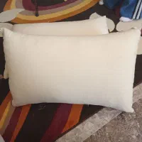 سه عددپشتی گلپر