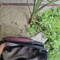 جا نماز ساک مانند همراه،کیف دستی، آرایشی ورزشی|کیف، کفش، کمربند|تهران, اقدسیه|دیوار