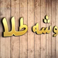 طراحی لوگو ، پست و استوری اینستاگرام و ...