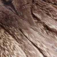 کت پوست مردانه لاکچری ایتالیایی|لباس|تهران, امانیه|دیوار