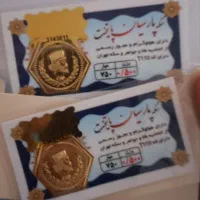 دو عدد سکه پارسیان ۵۰۰ سوت