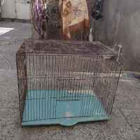 مفت مفت|لوازم جانبی حیوانات|بیرجند, |دیوار