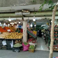 کارگر کاربلد میوه فروشی