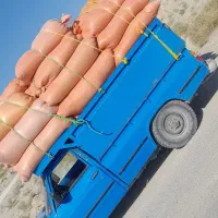 کاه افتابگردان