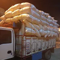 کاه درجه یک تحویلی