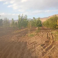 فروش-باغ-و-خانه