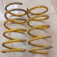 فنر ریس پژو