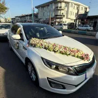 اجاره ماشین عروس|خودرو اجارهای|رشت, معلم|دیوار