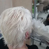 آموزشگاه ، آموزش و مدرک فنی و حرفه ای معتبر|خدمات آموزشی|هشتگرد, شهرک ولیعصر (مصلی)|دیوار