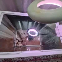 آکواریوم به همراه لامپ و تزئینات