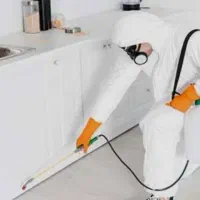 هرس کاری و سم پاشی باغ ومنازل|خدمات باغبانی و درختکاری|صباشهر, |دیوار