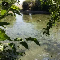 اجاره زمین کشاورزی|اجارهٔ دفتر صنعتی، کشاورزی، تجاری|گلپایگان, |دیوار