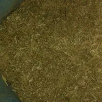 کاه لوبیاچیتی|لوازم جانبی حیوانات|لاران, |دیوار