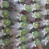 شمع و گیفت|صنایع دستی و سایر لوازم تزئینی|شاندیز, |دیوار