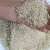 برنج درجه یک